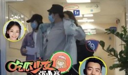 杨幂郑恺最新爆料,揭秘娱乐圈背后的秘密与真相